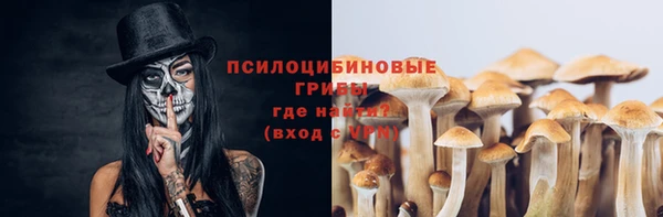 ALPHA PVP Алзамай