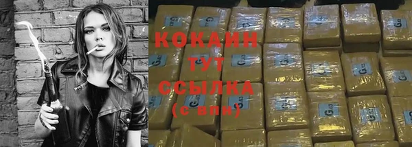 тгк Алексин